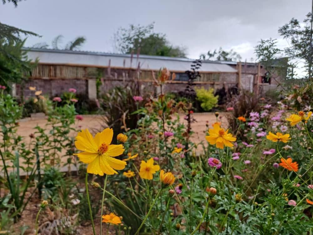 Knowhere Selfcatering Unit 1 Na オマルル エクステリア 写真
